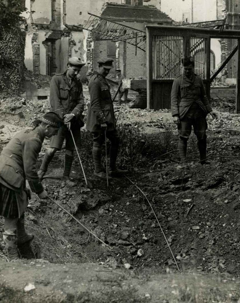 The Pet Insurance Claims Cost UXB