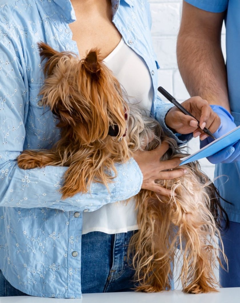 Insurance Post webinar – What’s going on with Pet Insurance_