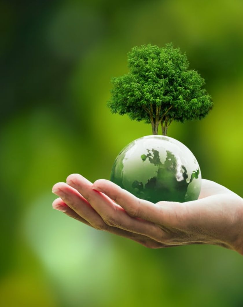 Scope 3 Emissions and Green Parts in Automotive Supply Chain - Roundtable