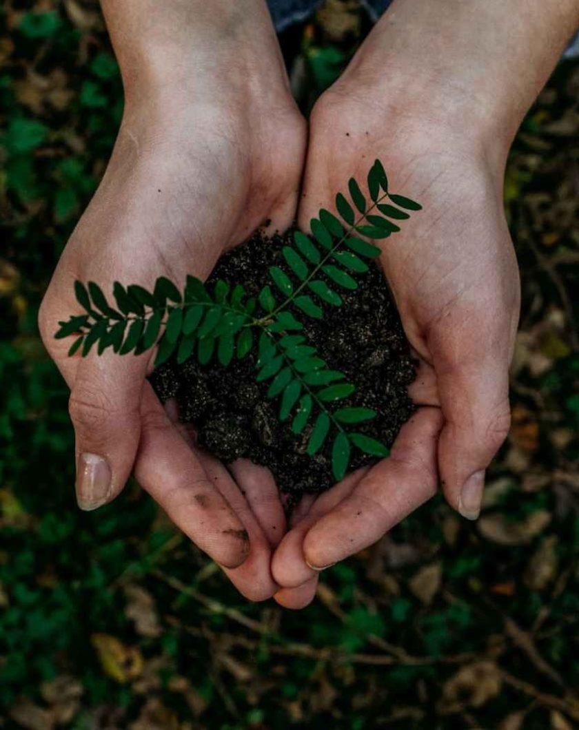 The powerful benefits of turning your insurance supply chain green